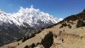 Annapurna Upper Pisang