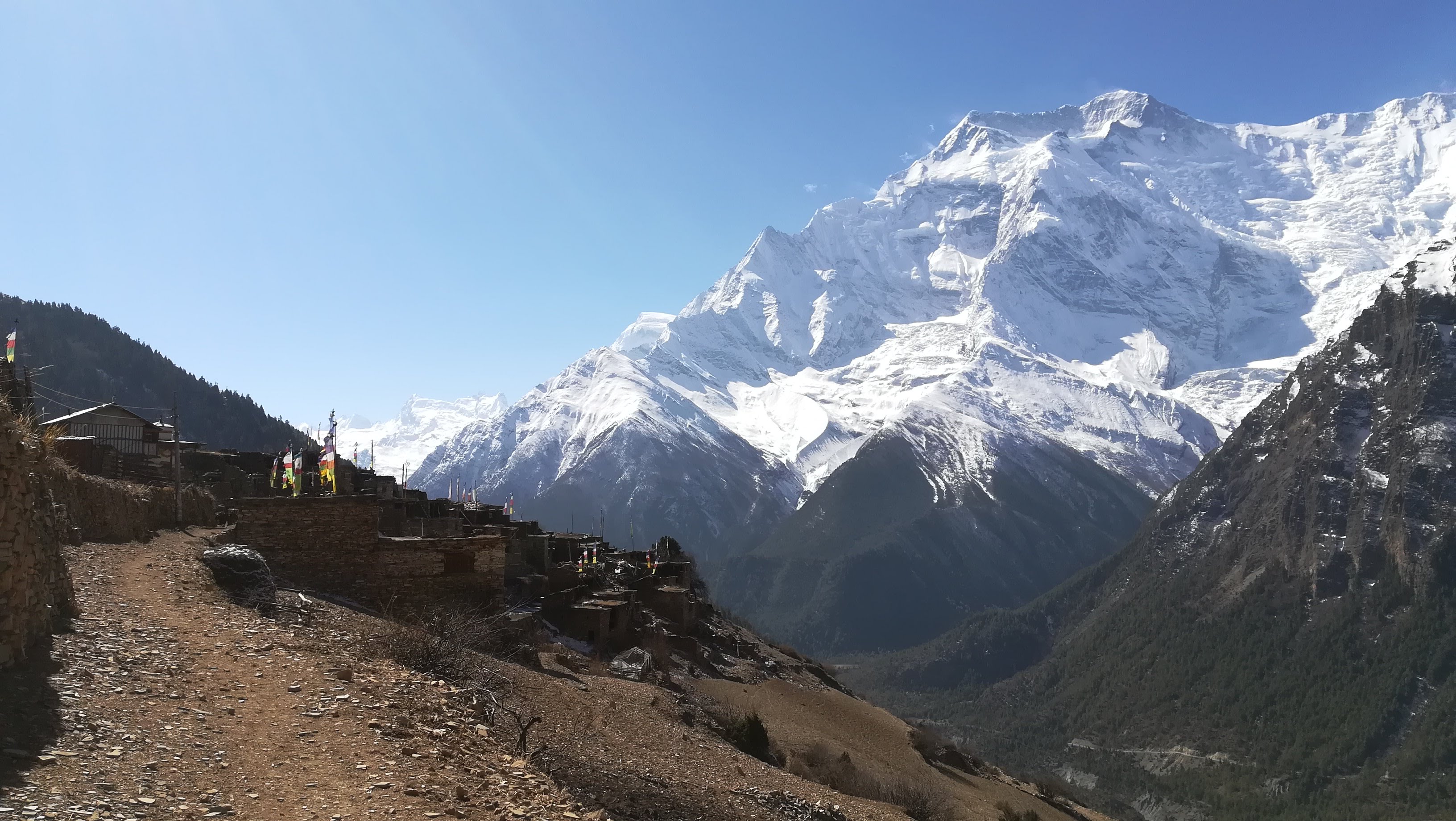 Annapurna view