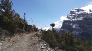 Annapurna Upper Pisang picnic